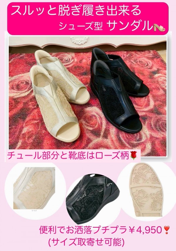 夏の新商品入荷と定番品のお知らせサムネイル